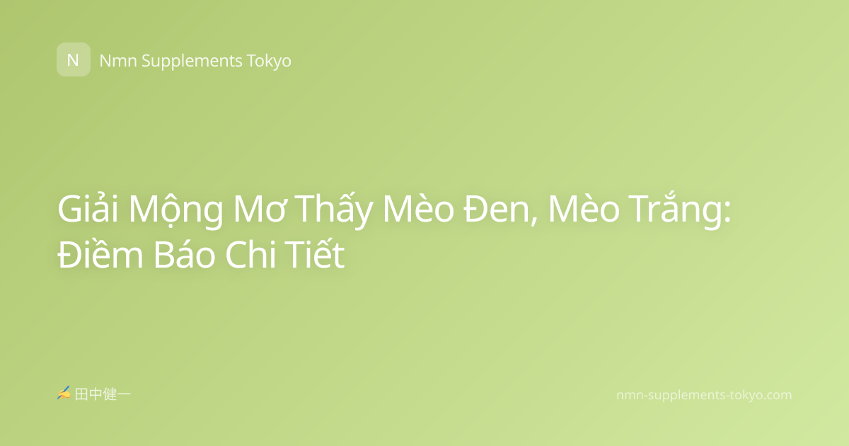 Giải Mộng Mơ Thấy Mèo Đen, Mèo Trắng: Điềm Báo Chi Tiết