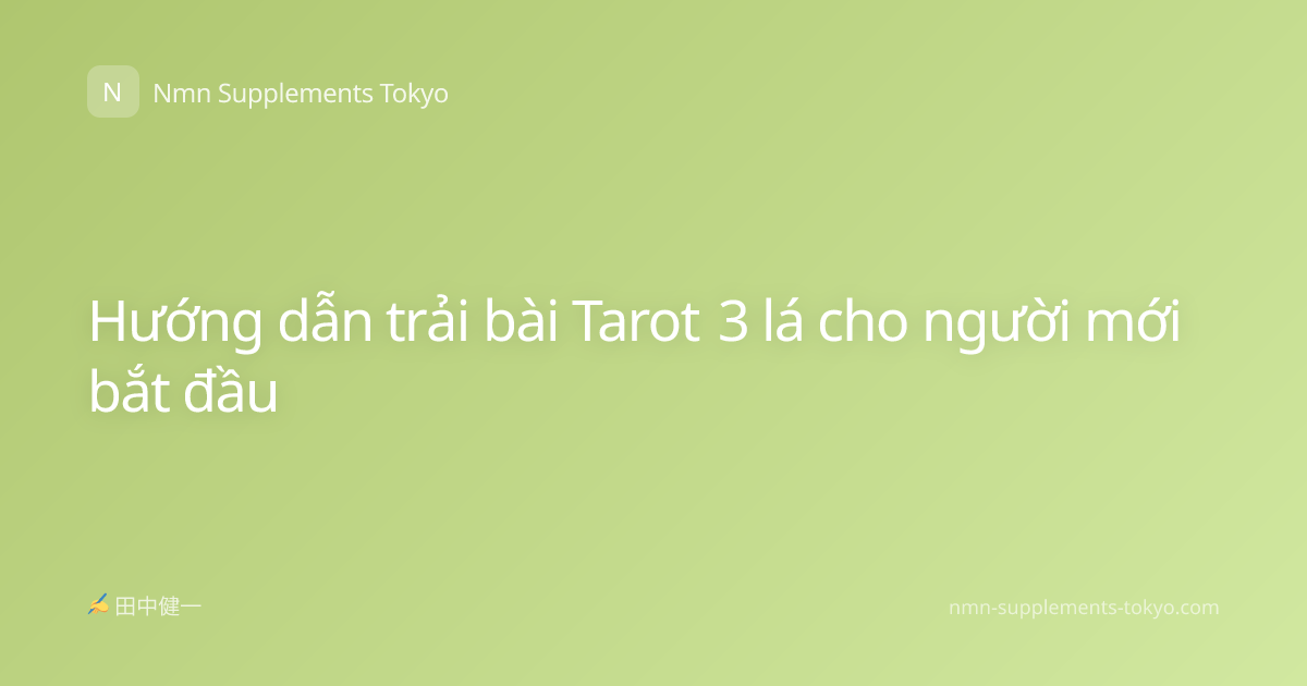 Hướng dẫn trải bài Tarot 3 lá cho người mới bắt đầu