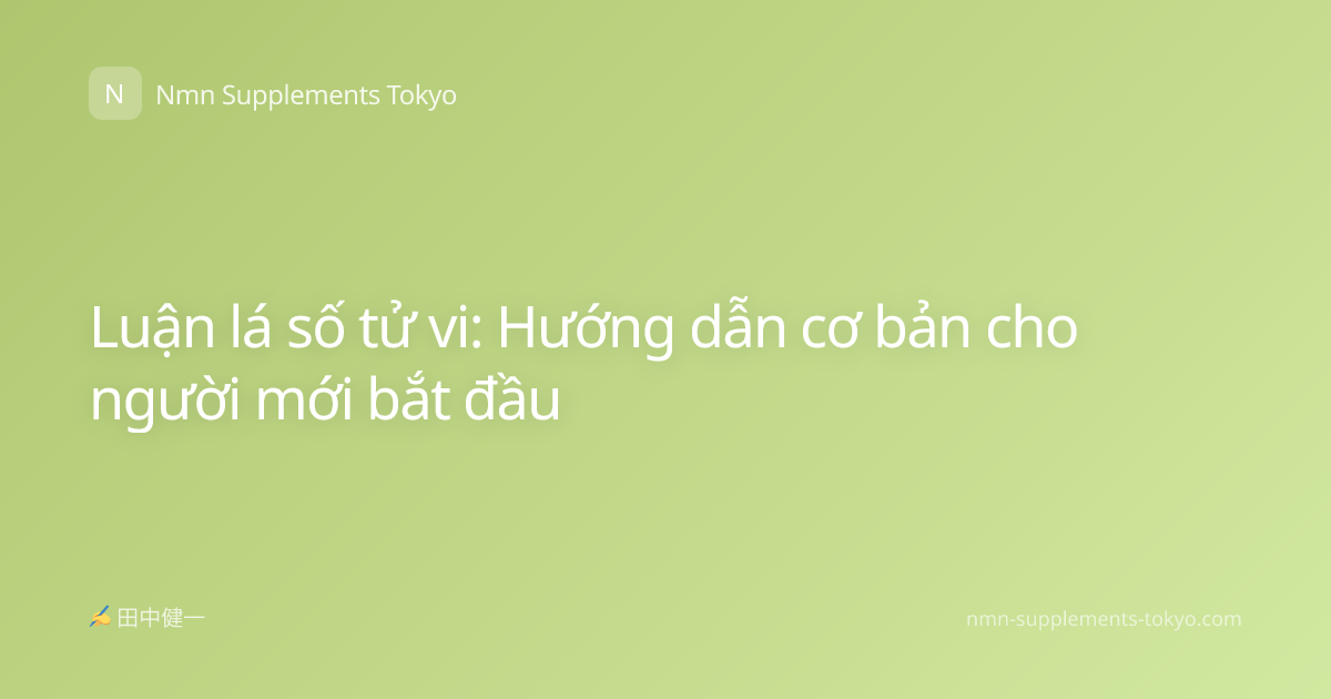 Luận lá số tử vi: Hướng dẫn cơ bản cho người mới bắt đầu