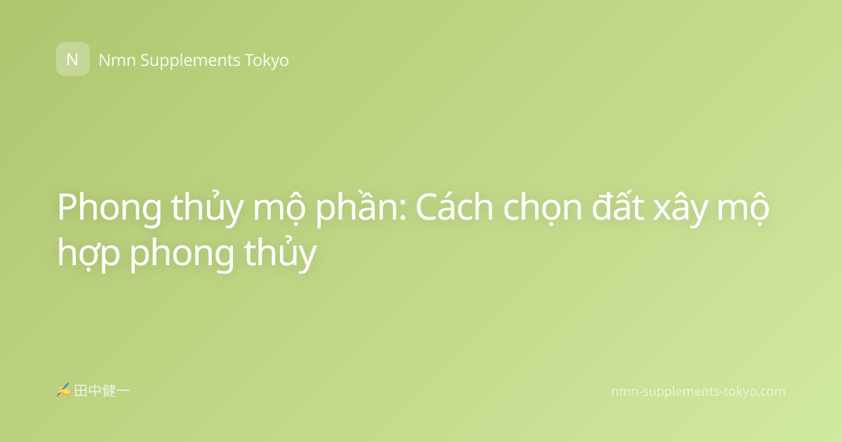 Phong thủy mộ phần: Cách chọn đất xây mộ hợp phong thủy
