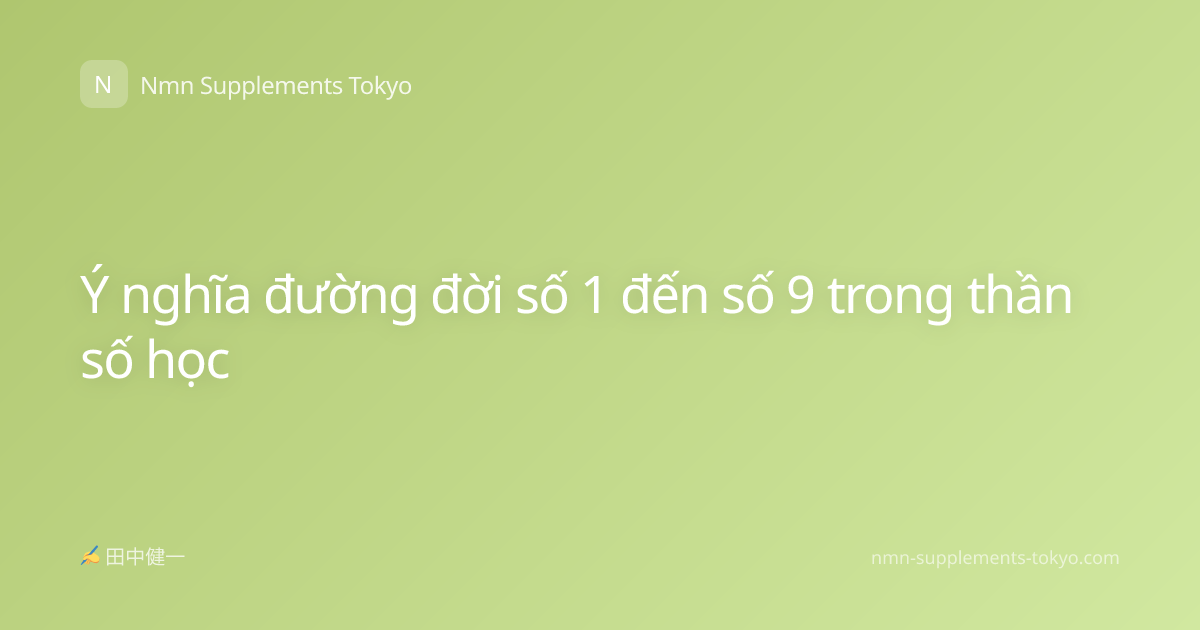 Ý nghĩa đường đời số 1 đến số 9 trong thần số học